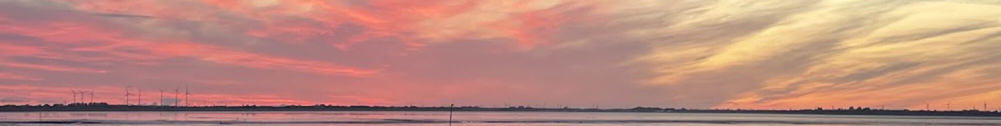 Coaching, Beratung und Seminare